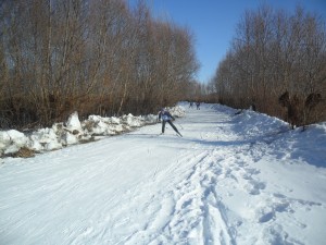 SAM_3323
