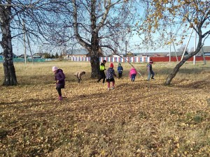 IMG-7f99f356280647b88c05fa0f2b0105ab-V