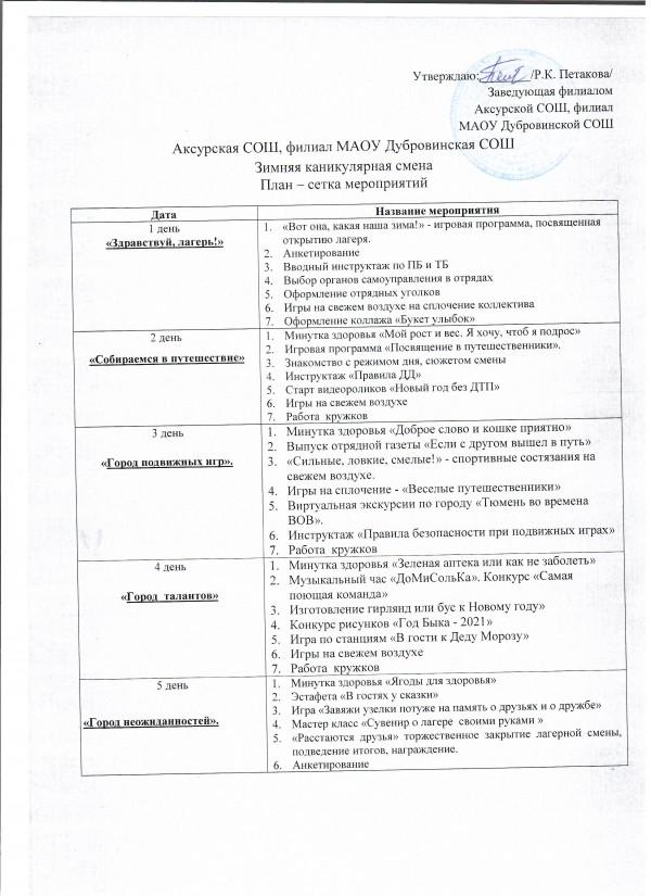 план сетка 001